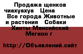 Продажа щенков чиахуахуа › Цена ­ 12 000 - Все города Животные и растения » Собаки   . Ханты-Мансийский,Мегион г.